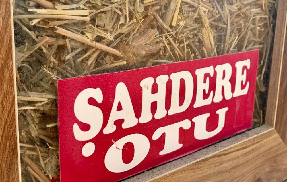 Sıcak havayla artan ‘kaşıntı’ şikâyetlerine karşı aktar önerileri