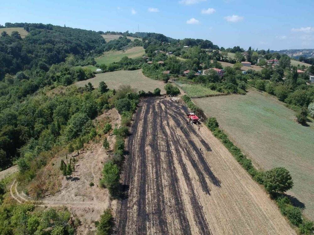 Yüksek gerilime kapılan karga az daha köyü yakacaktı