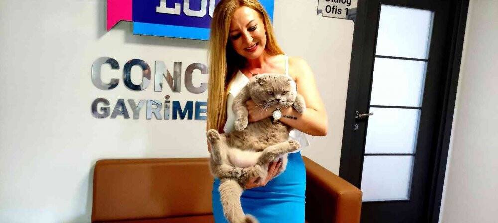 Obez kedi tam 8,5 kilo ağırlığında