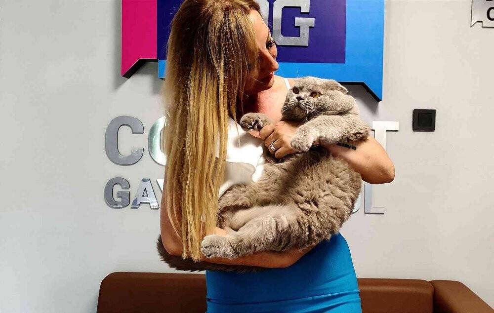 Obez kedi tam 8,5 kilo ağırlığında