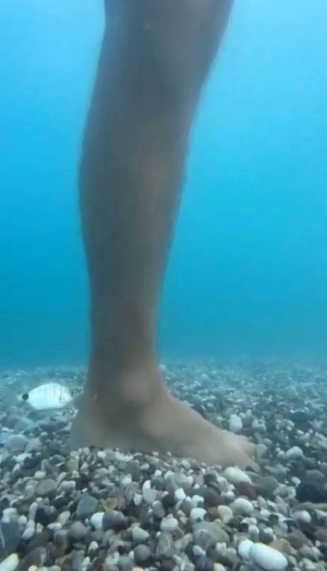 Antalya’da balık ısırma şikayetleri arttı, uzman isim açıklama yaptı