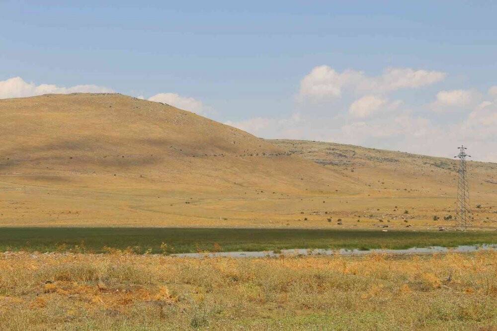 20 farklı göçmen kuş türüne ev sahipliği yapan Nenehatun gölü kurudu