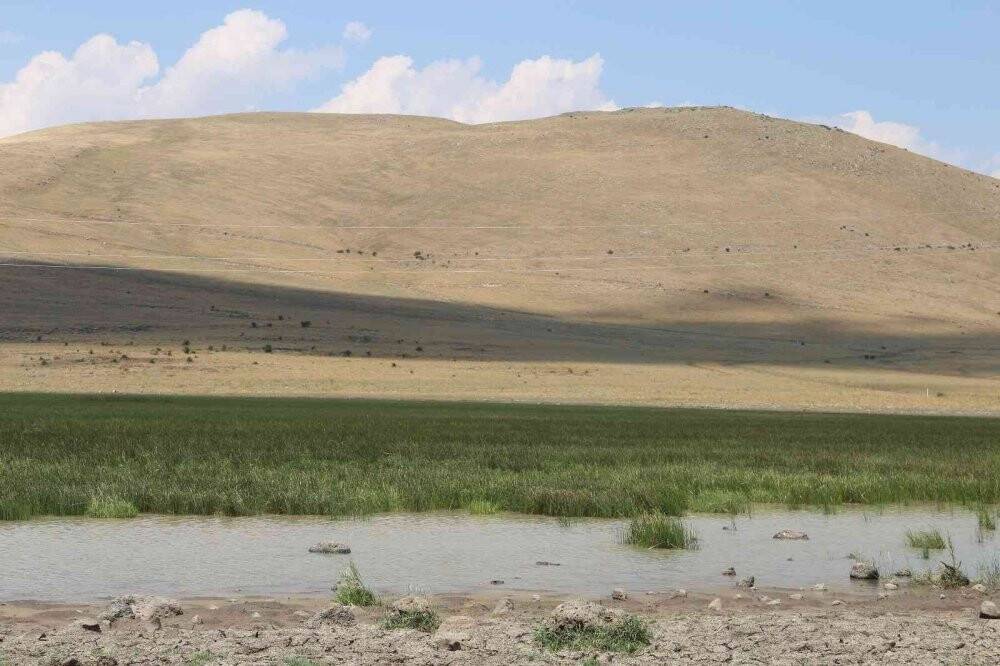 20 farklı göçmen kuş türüne ev sahipliği yapan Nenehatun gölü kurudu