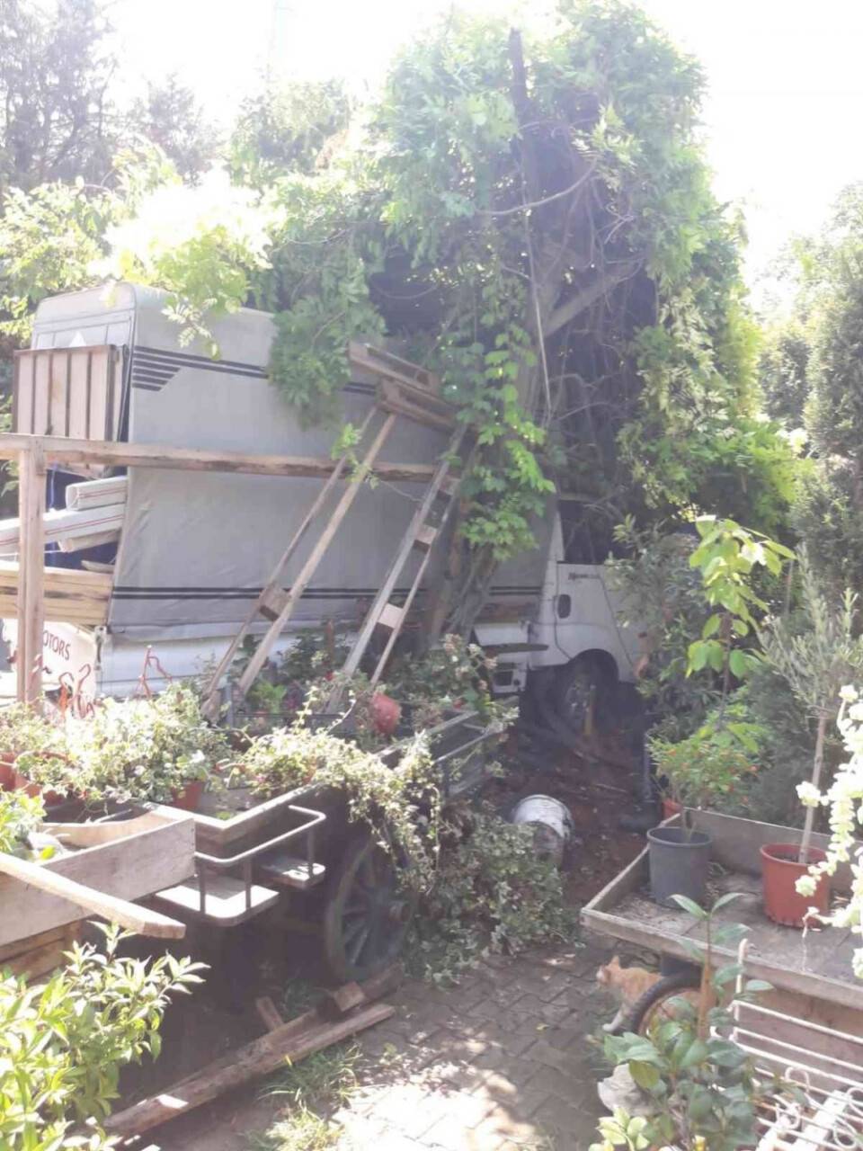 Beşiktaş’ta kamyonet çiçekçiye girdi: 2 yaralı