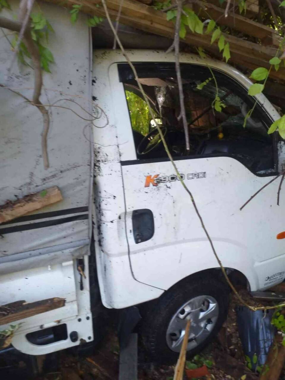 Beşiktaş’ta kamyonet çiçekçiye girdi: 2 yaralı