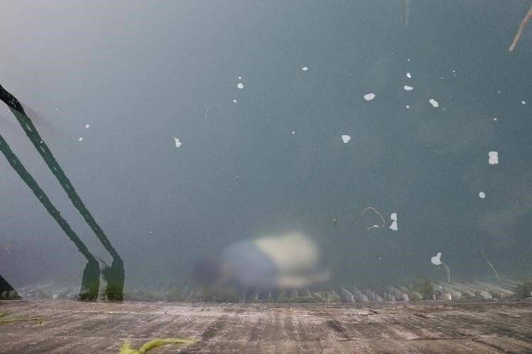 Hidroelektrik santrali kapaklarında erkek cesedi bulundu