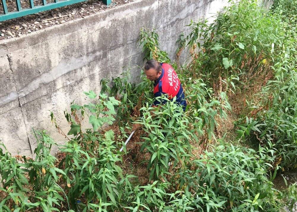 Su kanalına düşen yavru köpeği itfaiye kurtardı