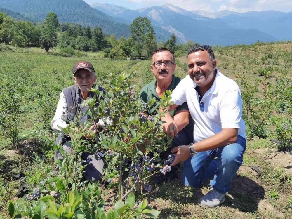 Bursa’dan Hong Kong’a yaban mersini ihracatı