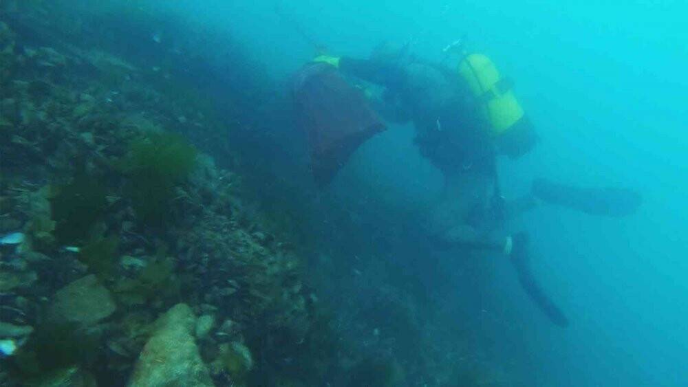 İstanbul Boğazında kaçak avcılık su altından görüntülendi