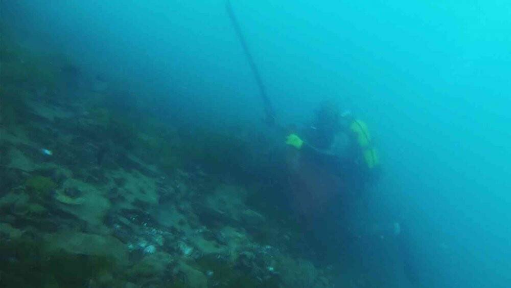 İstanbul Boğazında kaçak avcılık su altından görüntülendi