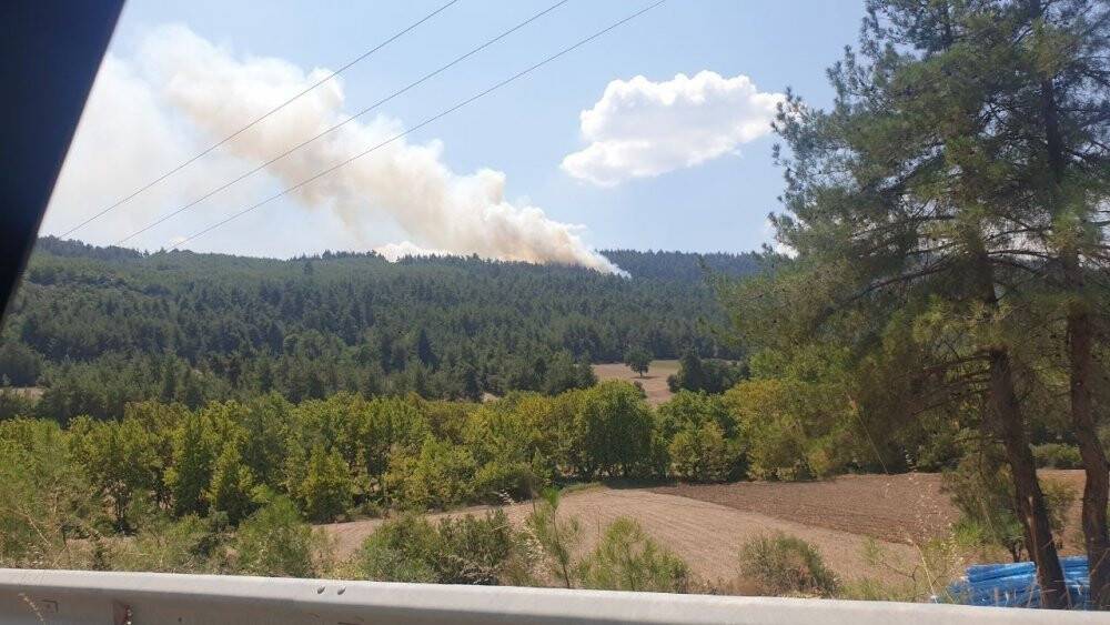 Bursa’da orman yangını için müthiş seferberlik...Yangın kontrol altında