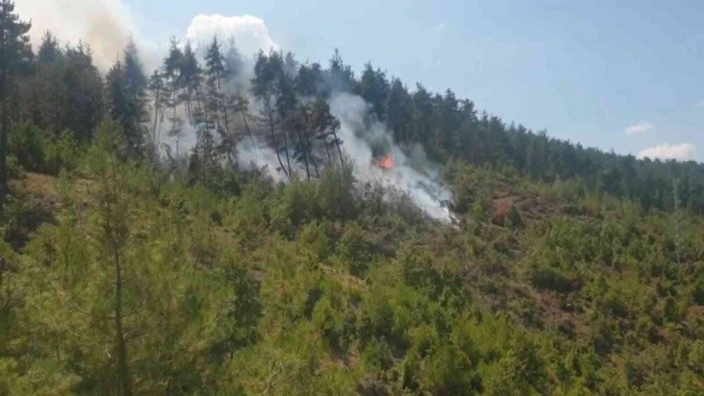 Bursa’da orman yangını için müthiş seferberlik...Yangın kontrol altında