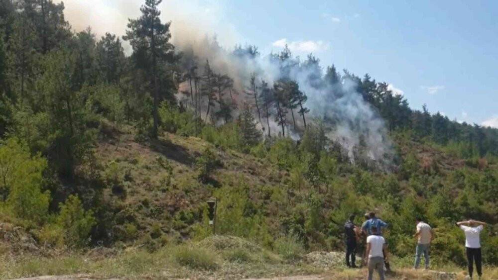Bursa’da orman yangını için müthiş seferberlik...Yangın kontrol altında