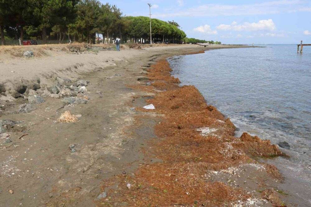 Karadeniz Samsun sahillerini yutmaya devam ediyor