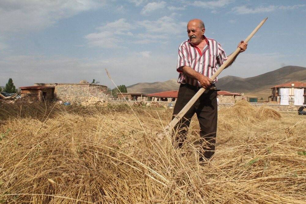 Harman festivali renkli görüntülere sahne oldu