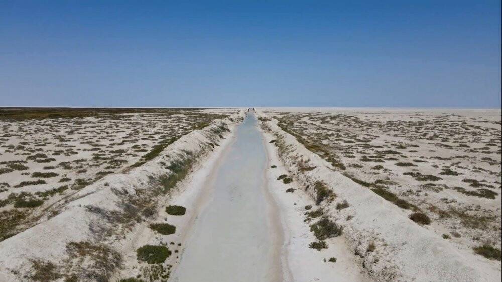 Tuz Gölü'ndeki allı turnalar için yapılan çalışmalar devam ediyor