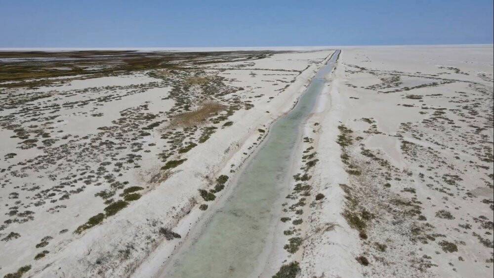 Tuz Gölü'ndeki allı turnalar için yapılan çalışmalar devam ediyor