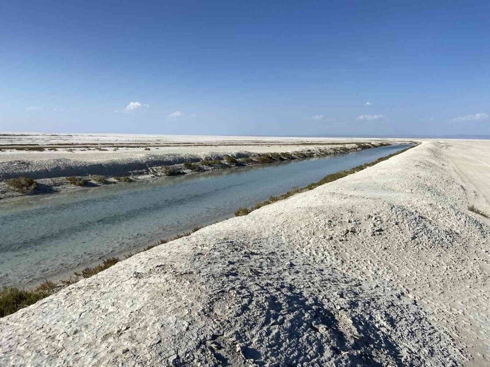 Tuz Gölü'ndeki allı turnalar için yapılan çalışmalar devam ediyor