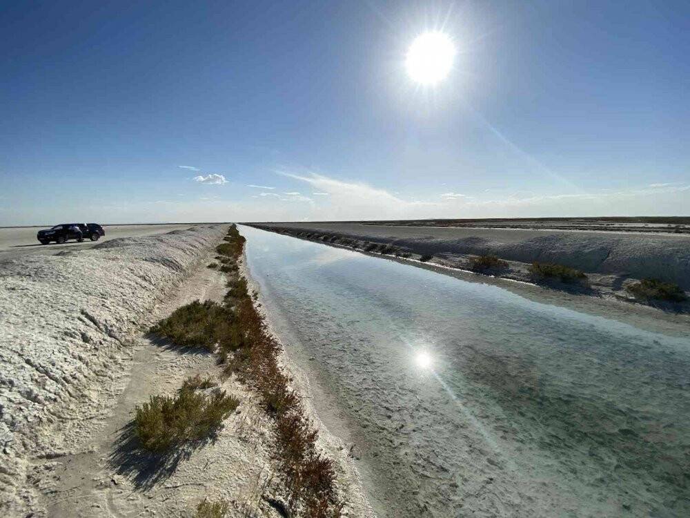 Tuz Gölü'ndeki allı turnalar için yapılan çalışmalar devam ediyor