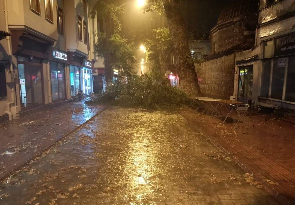 Şiddetli rüzgâr yüzyıllık ağacı devirdi
