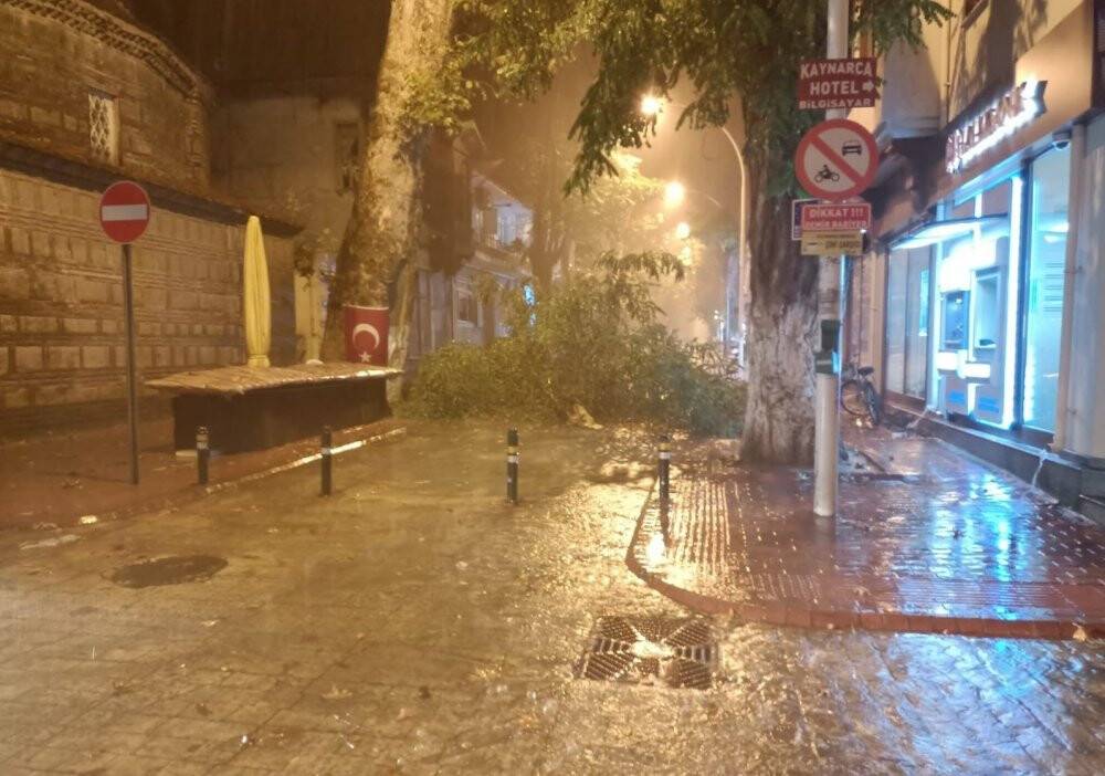 Şiddetli rüzgâr yüzyıllık ağacı devirdi