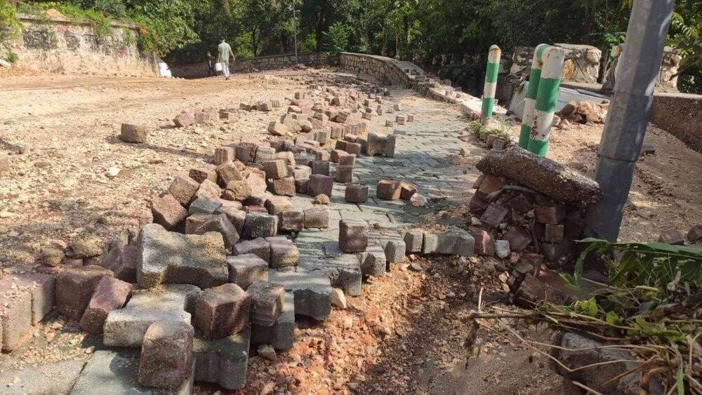 Bu ilginç durumu yağışlar ortaya çıkardı