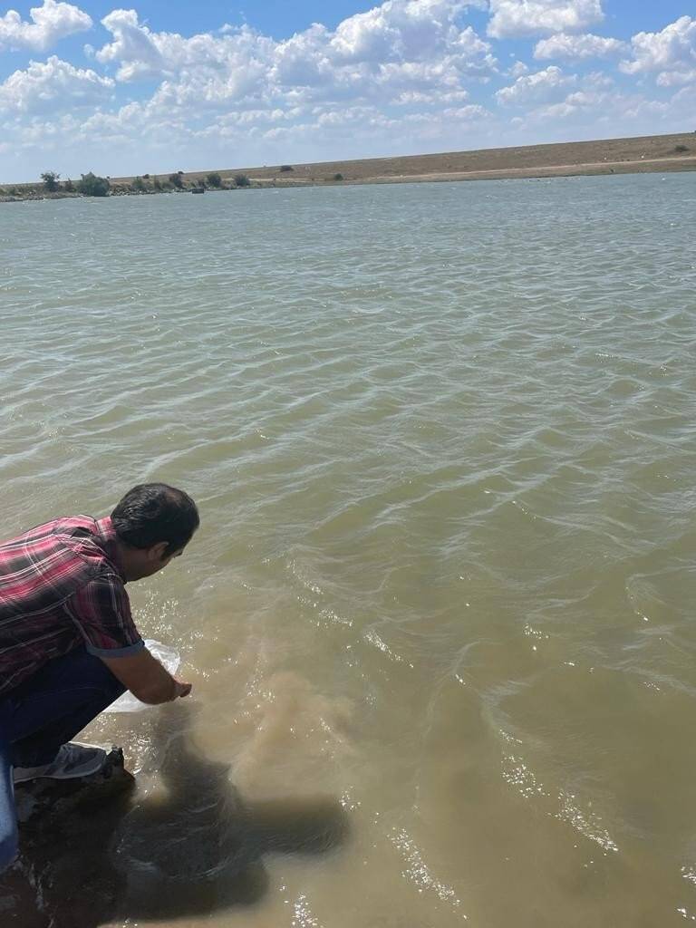 Ergene’deki göletlere balık bırakıldı