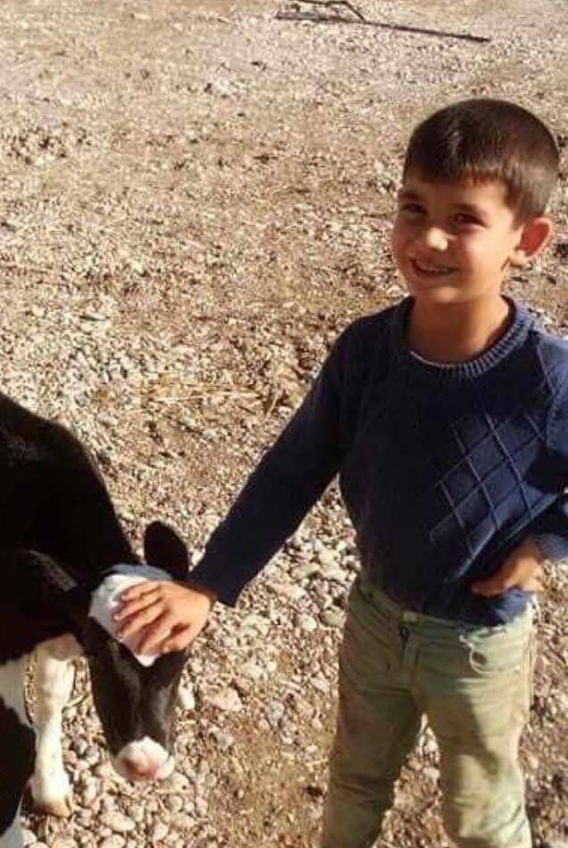 Sokak köpeklerinin saldırısına uğrayan çocuk yoğun bakımda