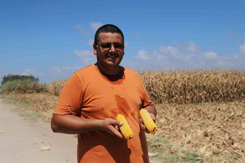 Türkiye’de ilk kez kumda mısır yetiştirildi, rekolte yüz güldürdü