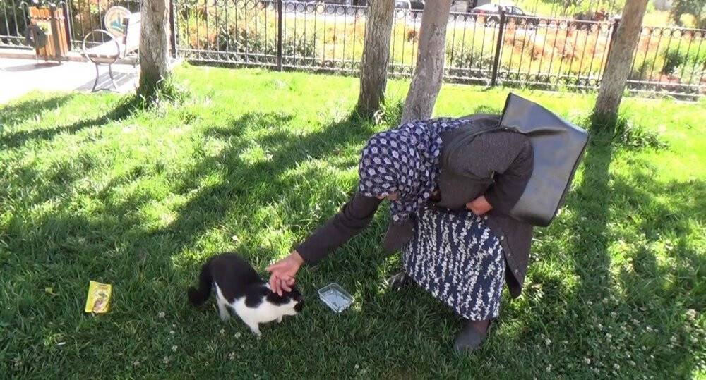 Zabıta memuru susayan köpeğe elleriyle su içirdi