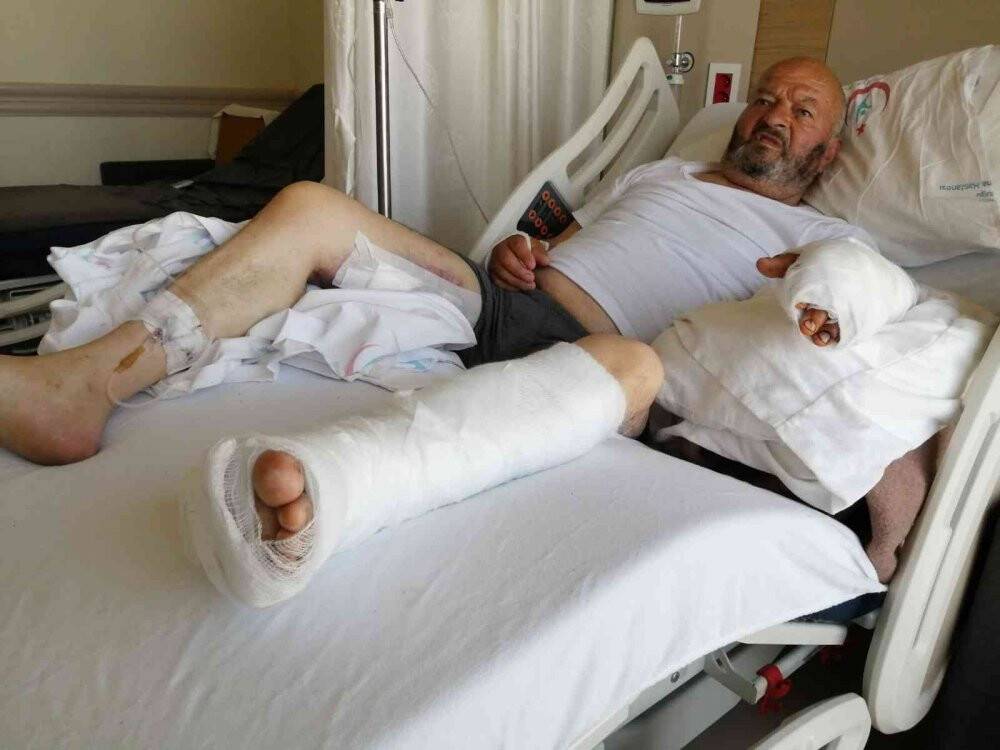 Ayının saldırısına uğrayan yaşlı adam tedavi altına alındı