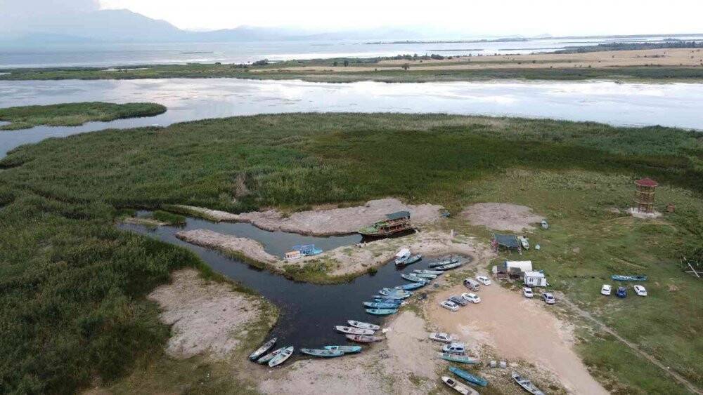 Beyşehir Gölü'ndeki nilüfer bahçesi hayran bırakıyor