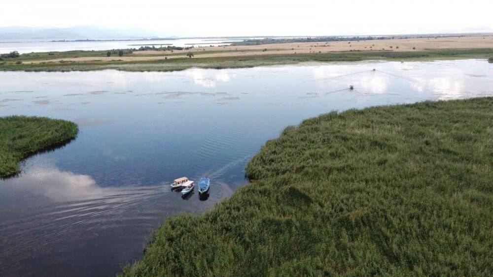 Beyşehir Gölü'ndeki nilüfer bahçesi hayran bırakıyor