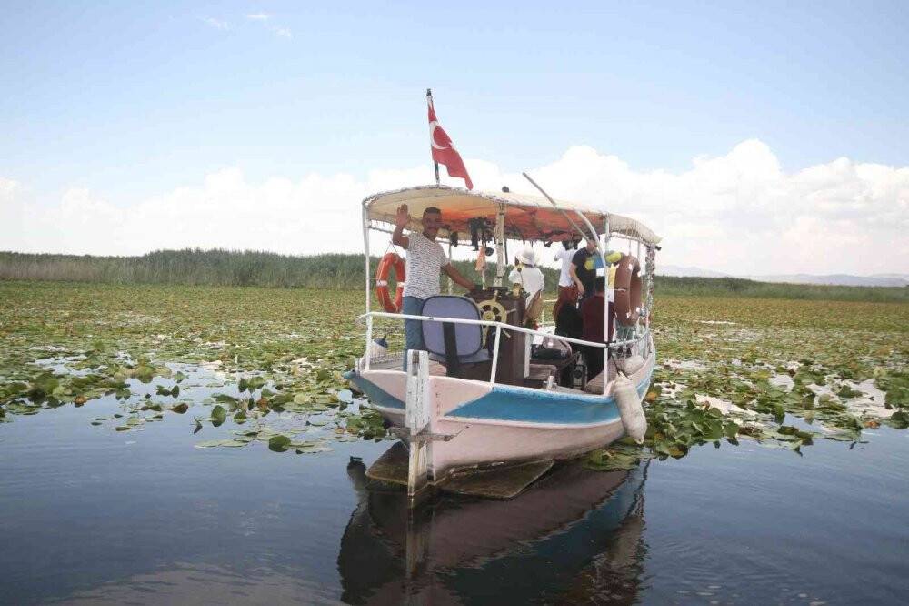 Beyşehir Gölü'ndeki nilüfer bahçesi hayran bırakıyor