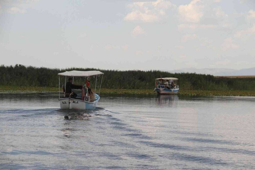 Beyşehir Gölü'ndeki nilüfer bahçesi hayran bırakıyor