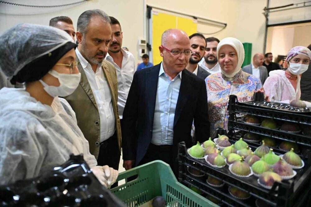 İncir üreticisine can suyu