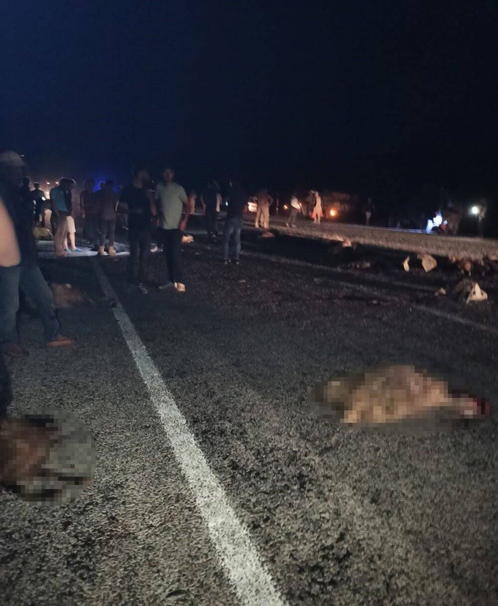 Minibüs sürüye çarptı: 40 koyun telef oldu