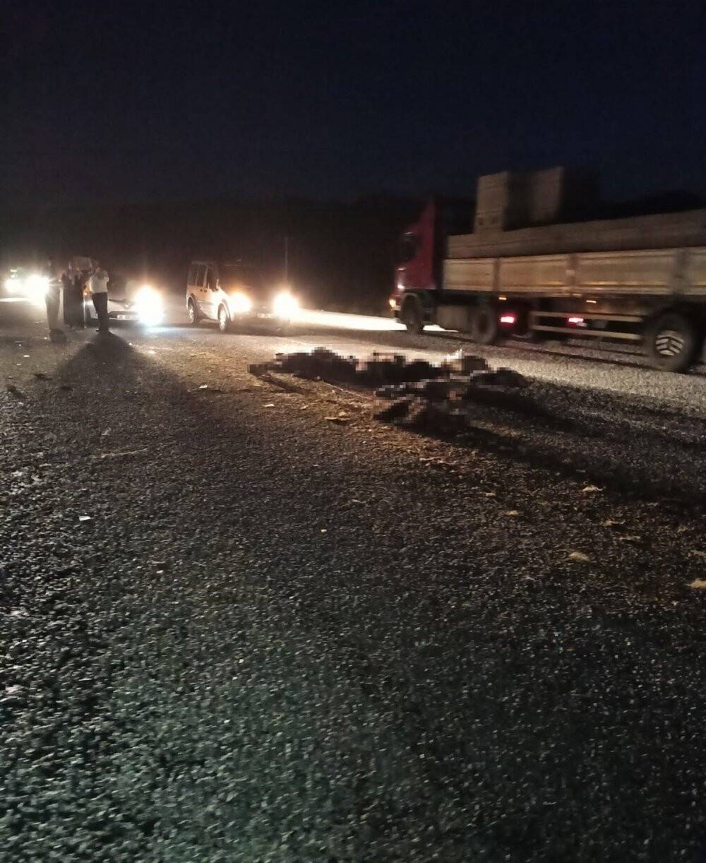 Minibüs sürüye çarptı: 40 koyun telef oldu