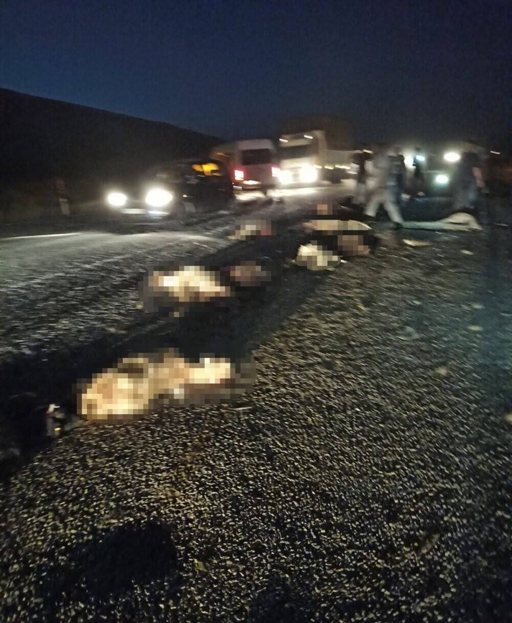 Minibüs sürüye çarptı: 40 koyun telef oldu