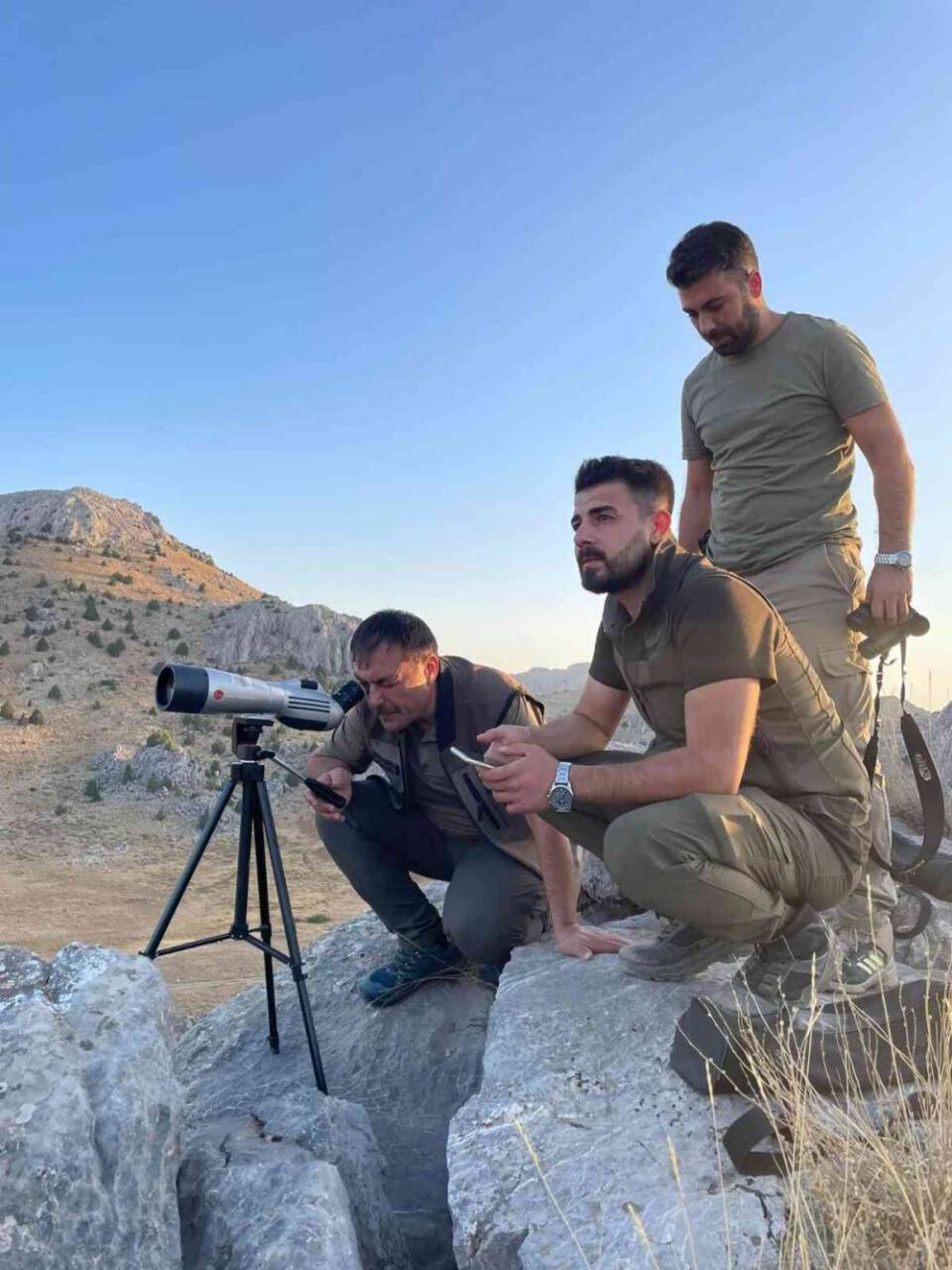 Yeni yaşamlarına başlayan ‘cerenler’ adım adım izleniyor