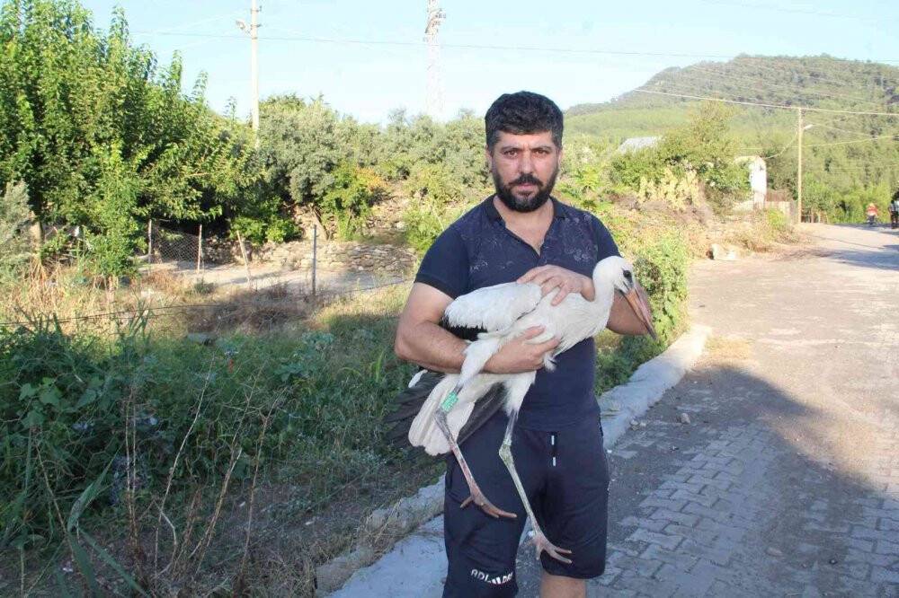 Adını "Leylektar" koydu, yorgun düşen leyleği iki gün misafir etti