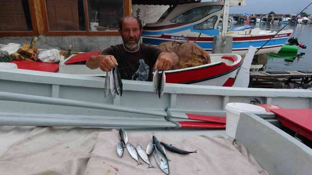 Sezonun başlamasına sayılı günler kala palamudun görüntüsü bol olacağı yönünde