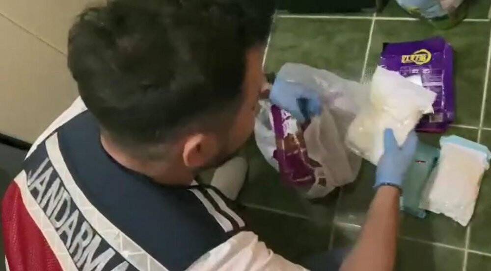 Jandarma’dan bonzai operasyonu