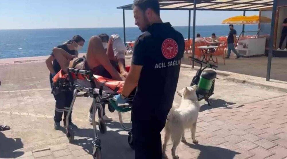 Kendisi için bıçaklanan sahibine köpekten duygulandıran vefa