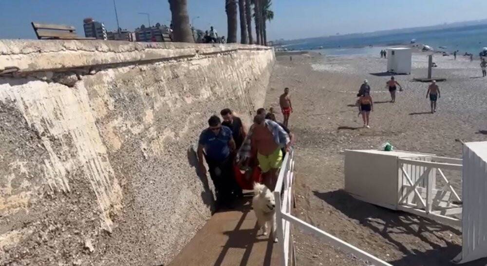 Kendisi için bıçaklanan sahibine köpekten duygulandıran vefa