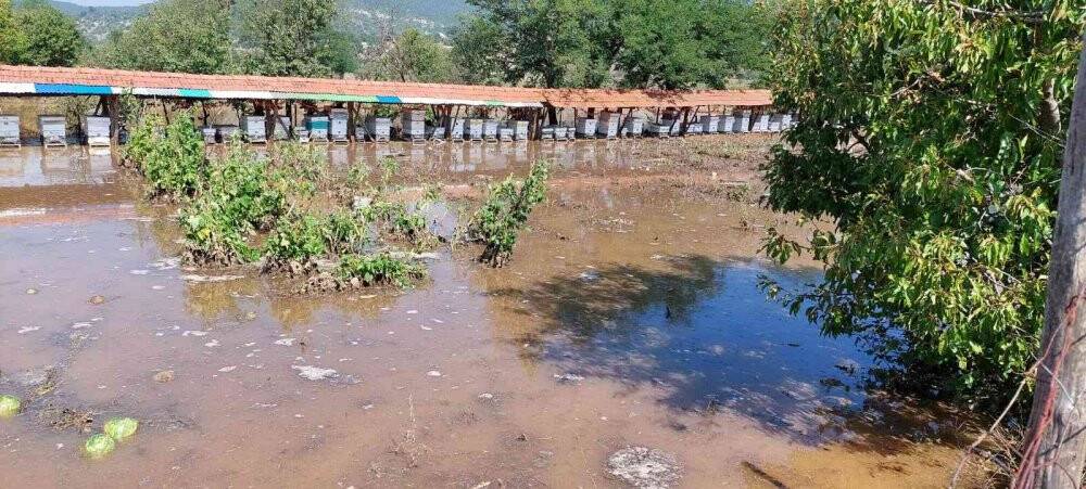 Domaniç’te 80 arı kovanı sular altında kaldı