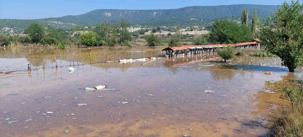 Domaniç’te 80 arı kovanı sular altında kaldı