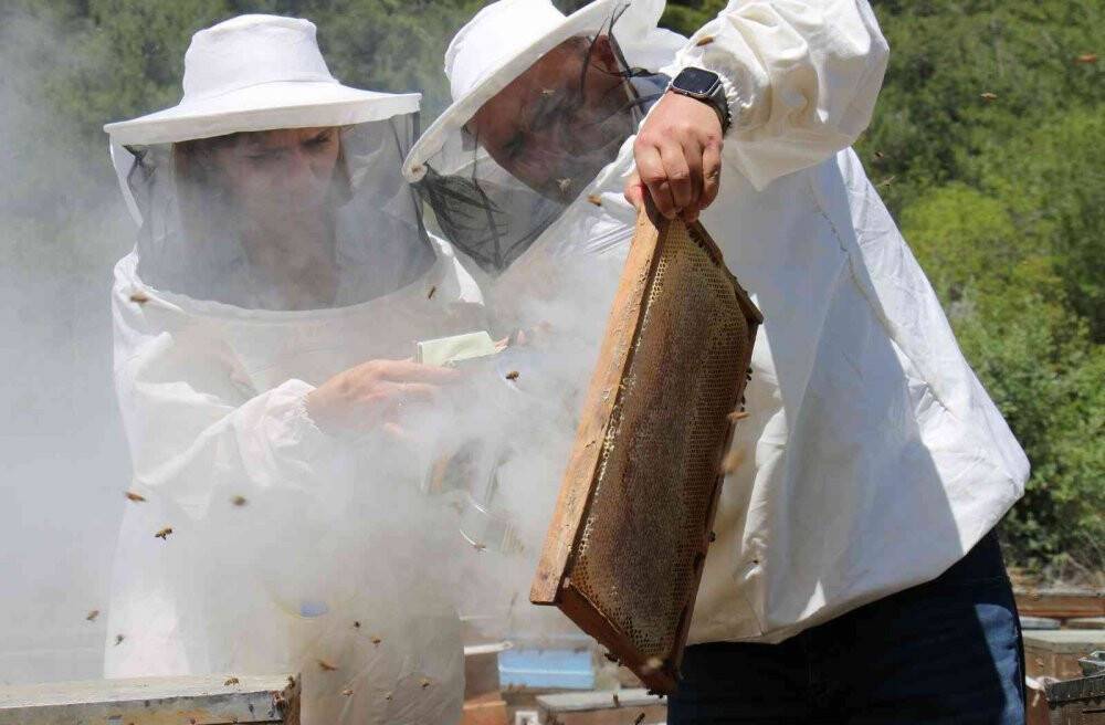 Dünya Arıcılık Kongresi Apimondia’da, Türkiye, dünya ikincisi