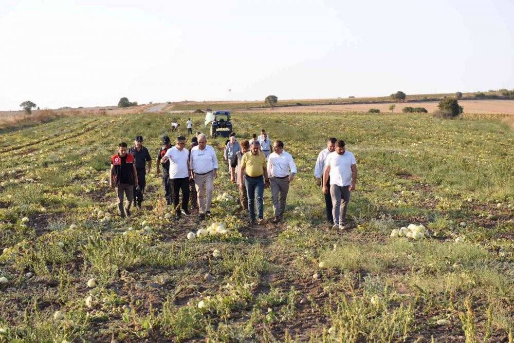 Kavun diyarında hasat yapıldı