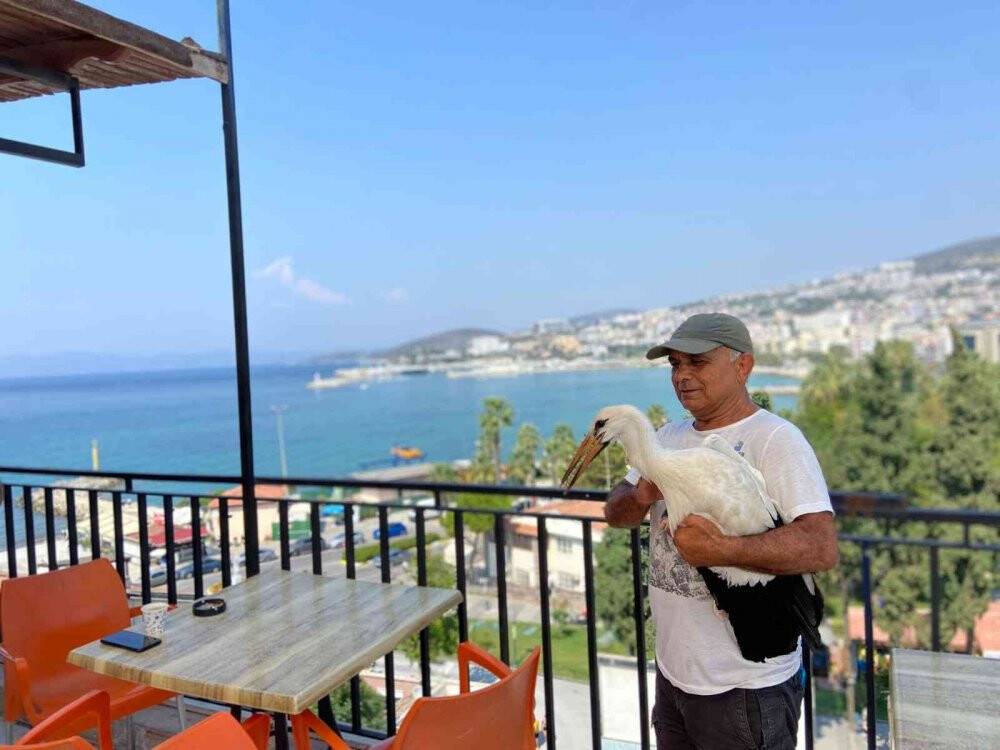 Vefalı leylek Avşarlı Kuşadası’nı terk etmedi